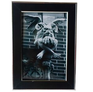 Beautiful church gargoyle , vintage carved Art Gothic Dark Beauty Vintage Craved